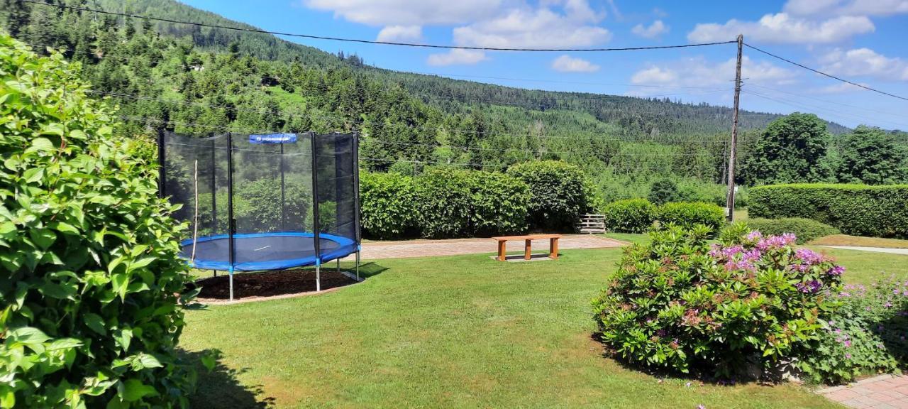 Gerbépal Chalet Les Marmottons Sauna Pool Table, Nintendo, Petanque מראה חיצוני תמונה